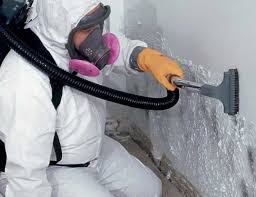 Best Black Mold Removal  in Sneedville, TN